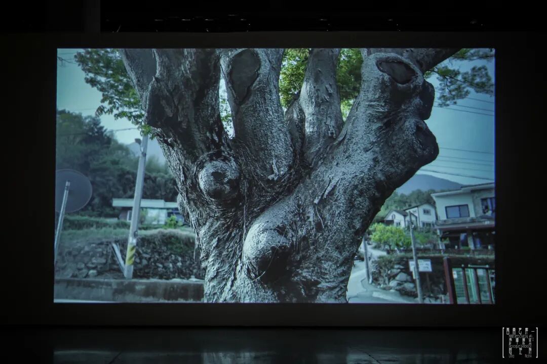 “超矩阵”展览开幕式现场,成都当代影像馆,2026