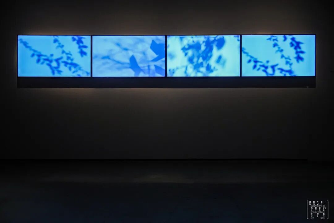 “超矩阵”展览开幕式现场,成都当代影像馆,2026